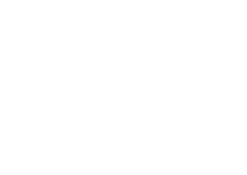 Logo vertical Es Passarell blanca